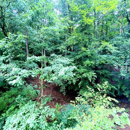 Forest - 23 Marca Sopot By Grand Apartments Dış mekan fotoğraf
